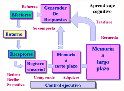Concepción del aprendizaje y de la instrucción según J. Bruner